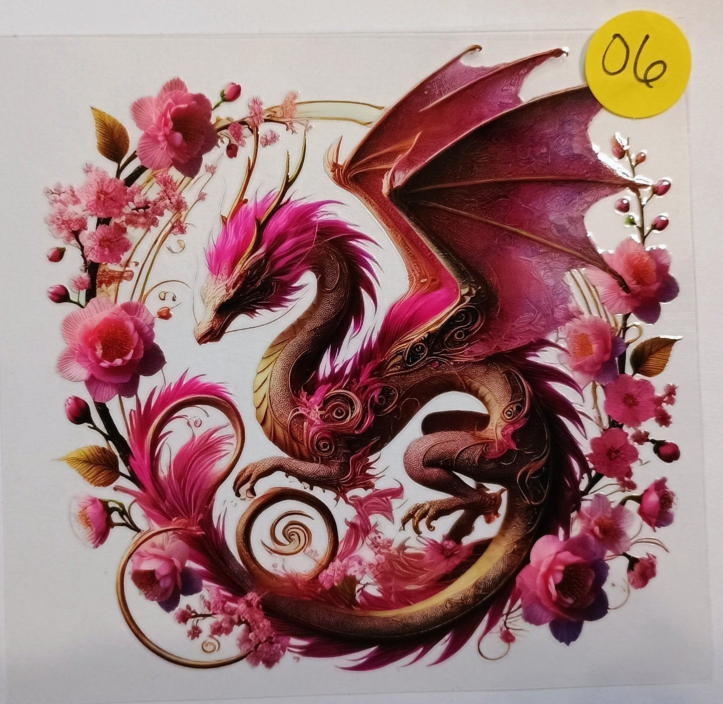 Dragons