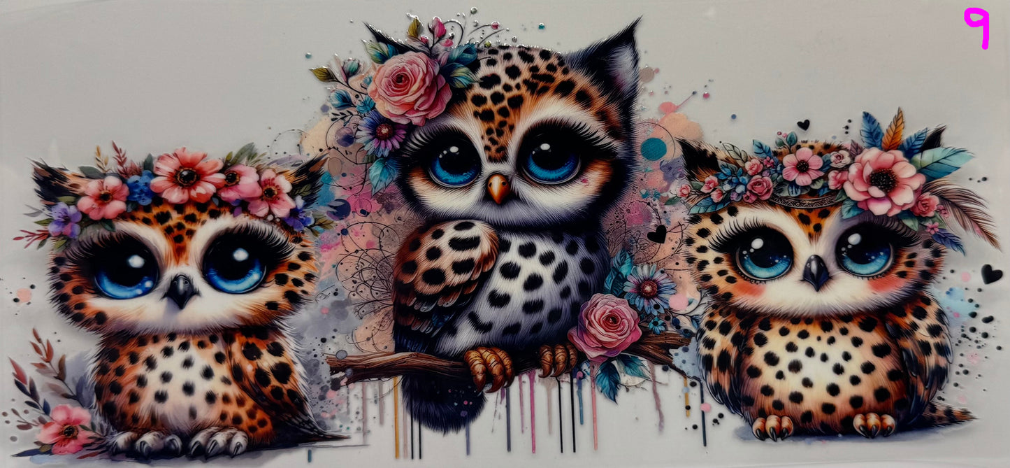 Animals