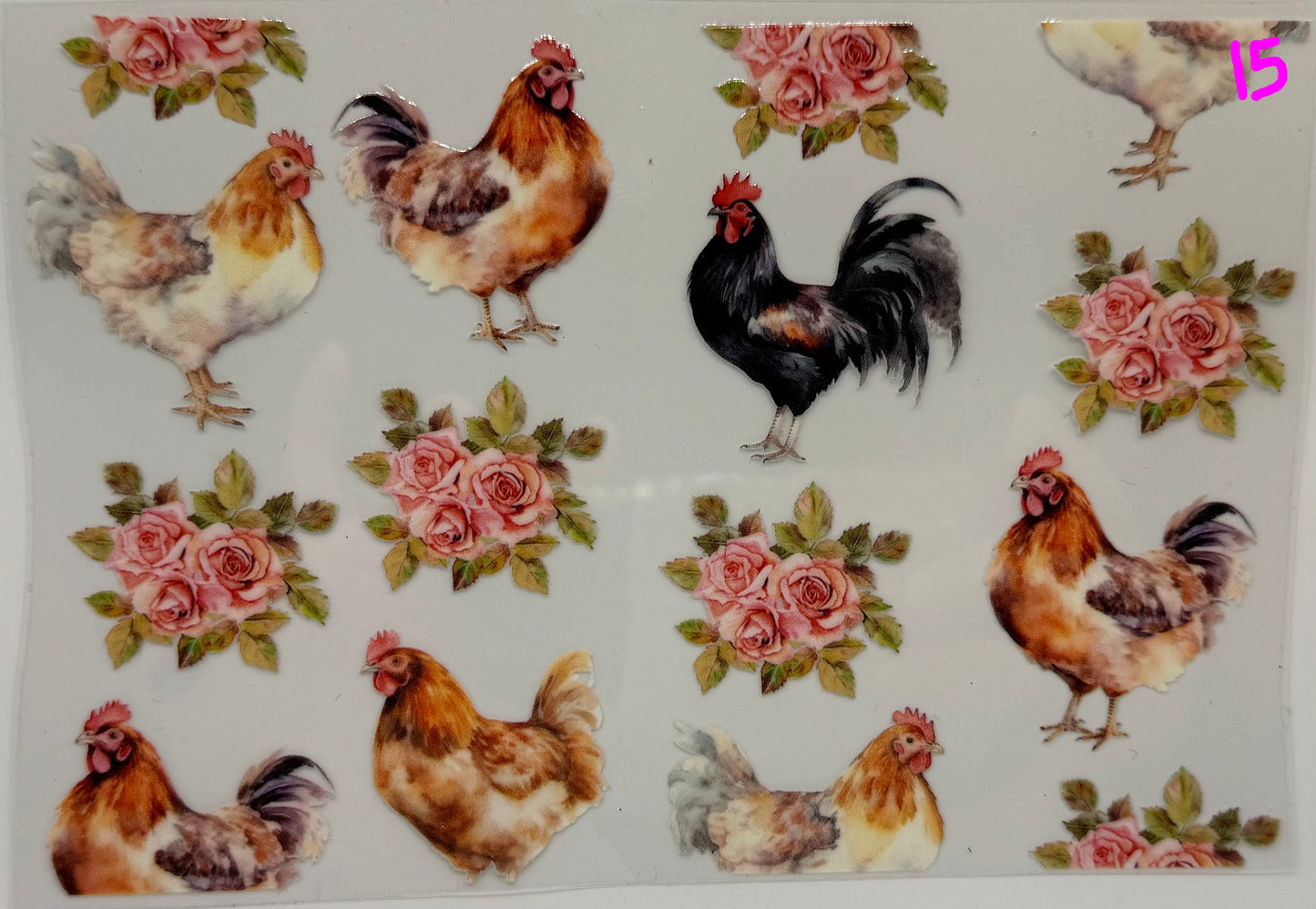 Animals