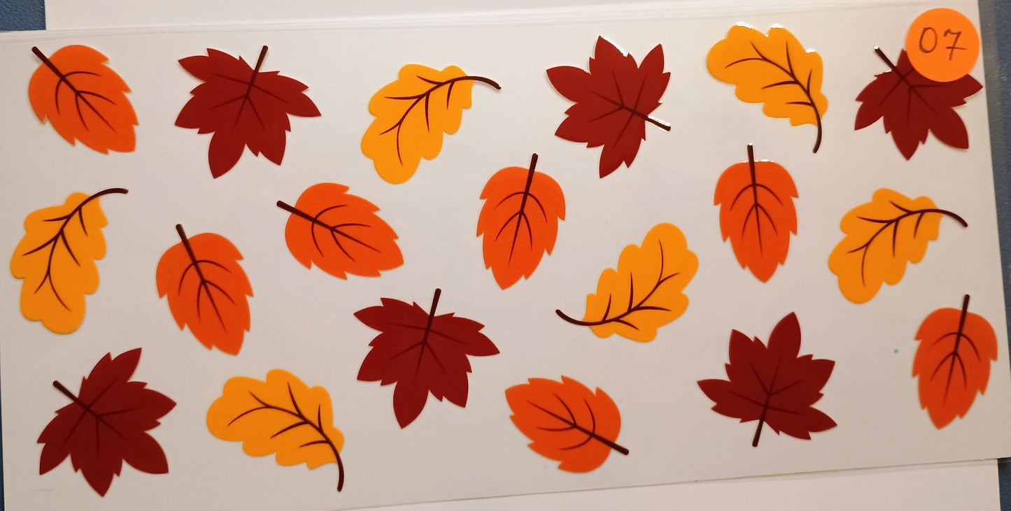 Fall