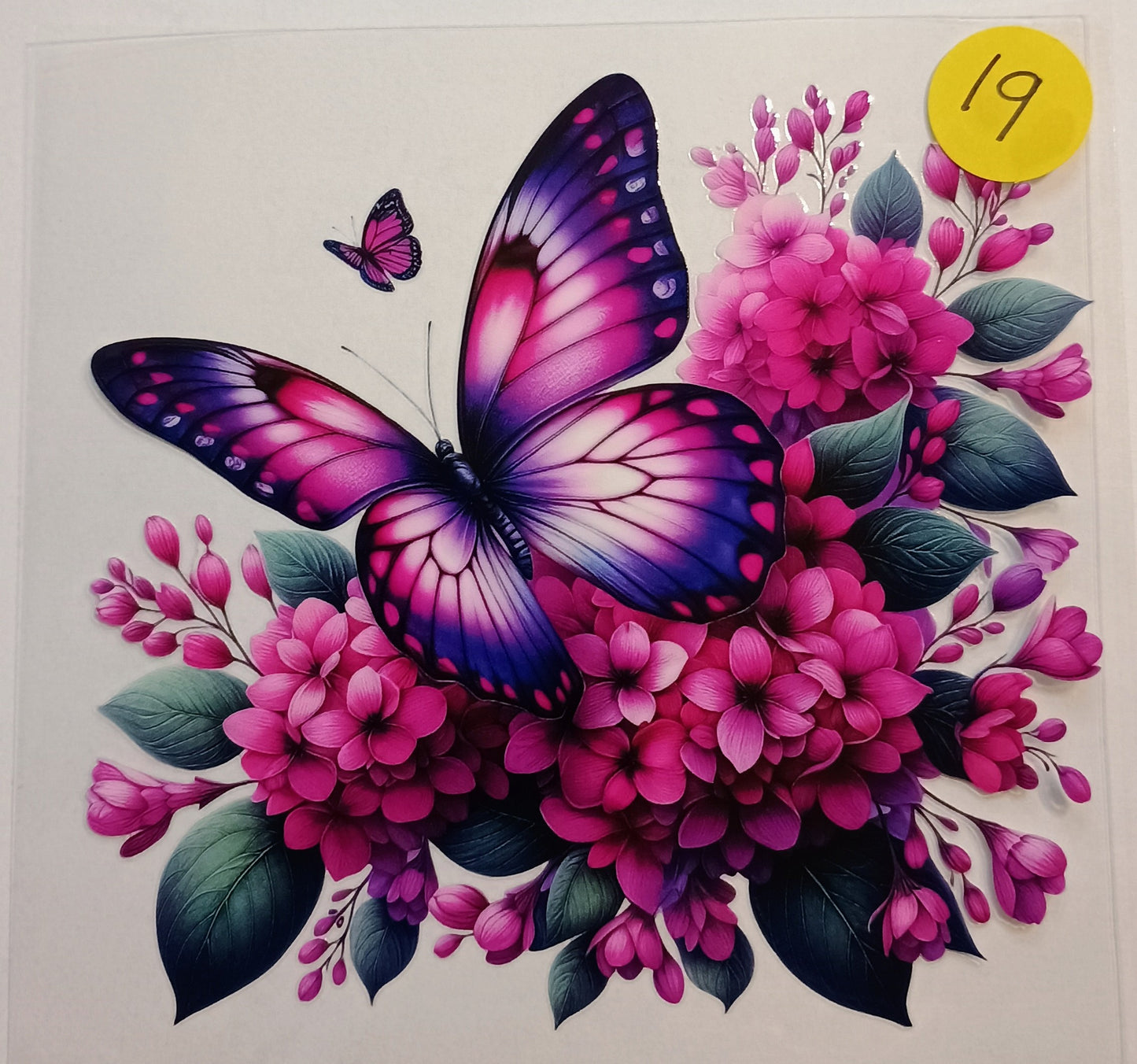 Butterfly