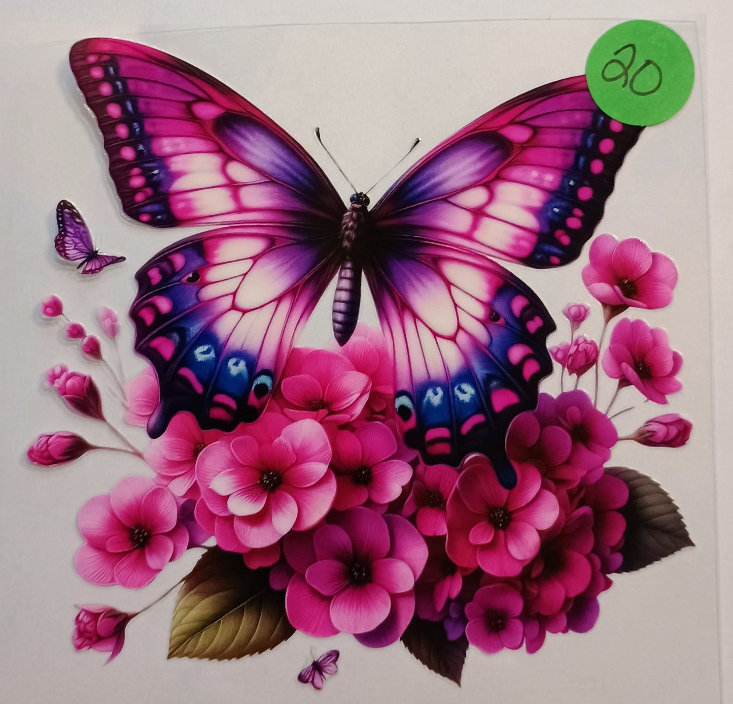 Butterfly
