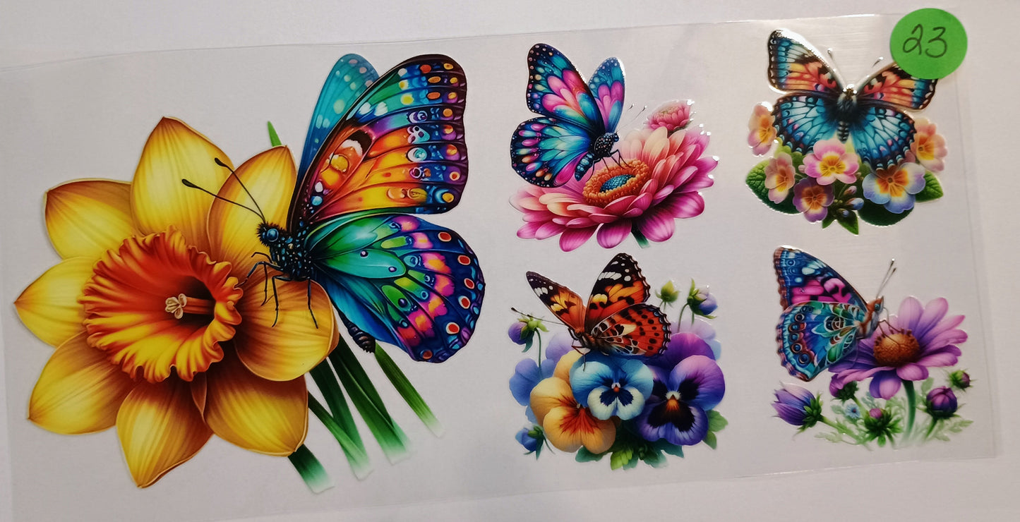 Butterfly