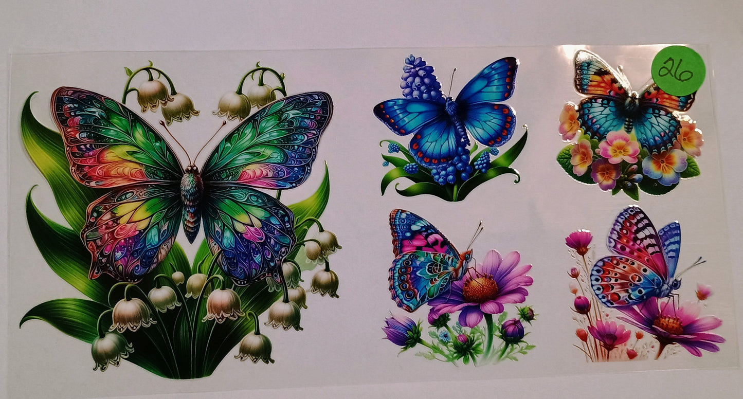 Butterfly