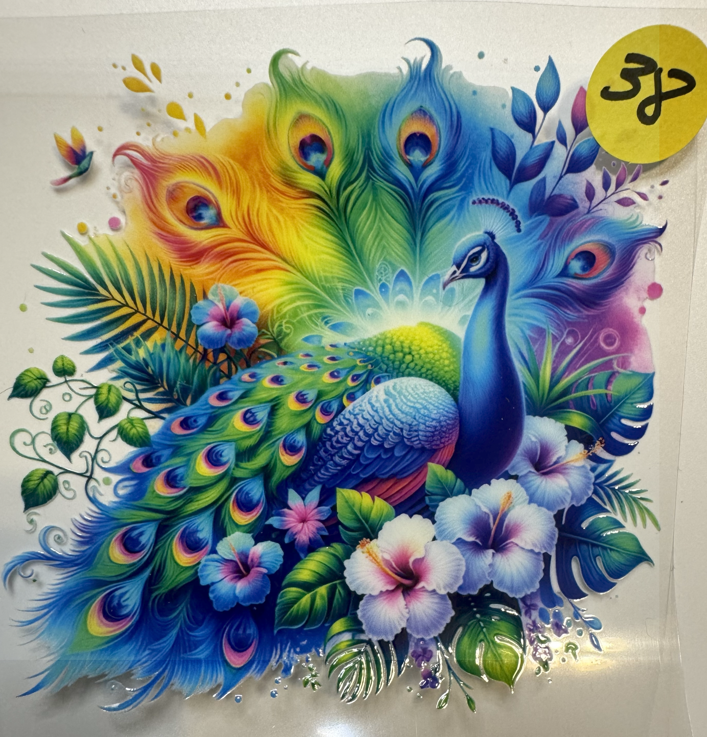 Animals