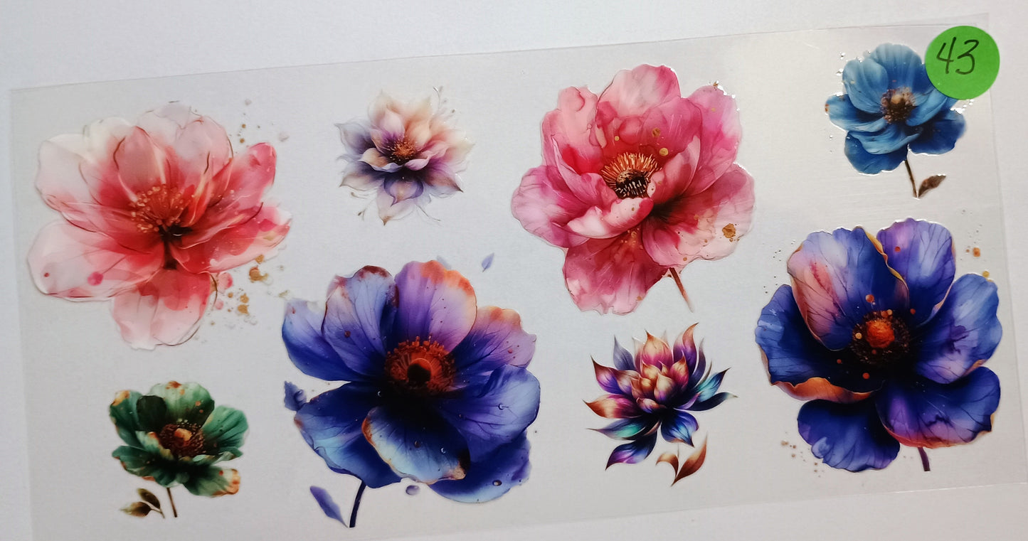 Flowers