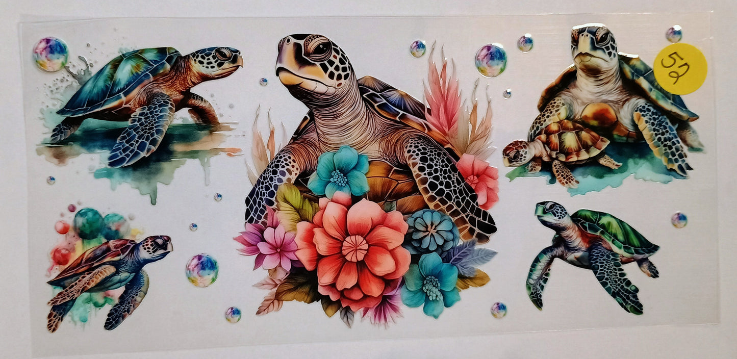 Animals