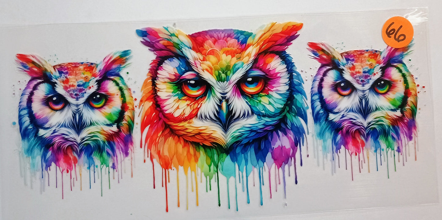 Animals