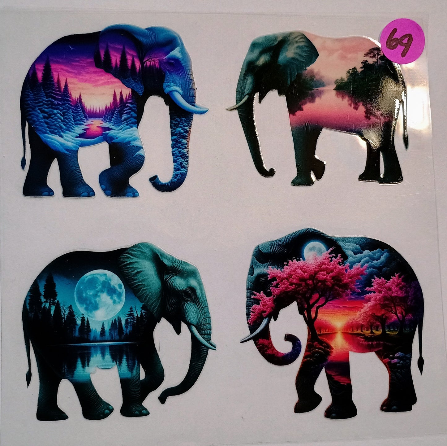 Animals