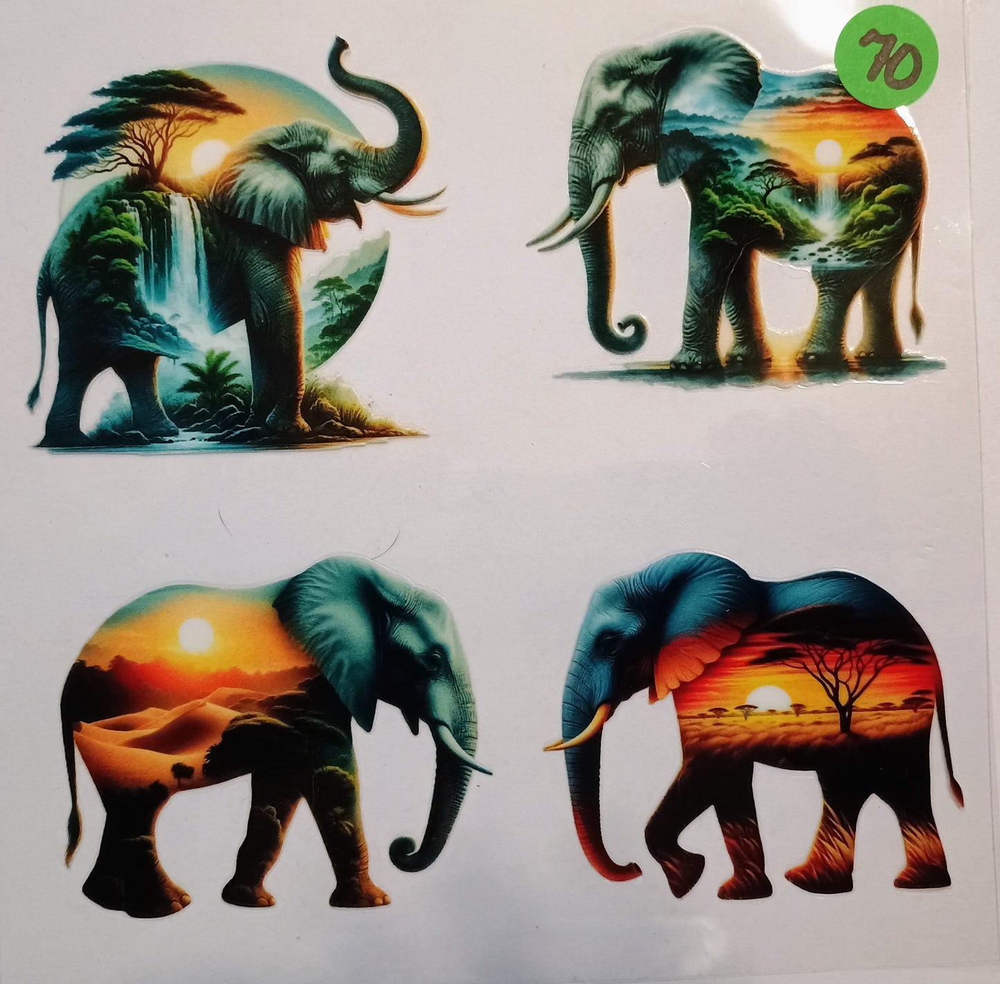Animals