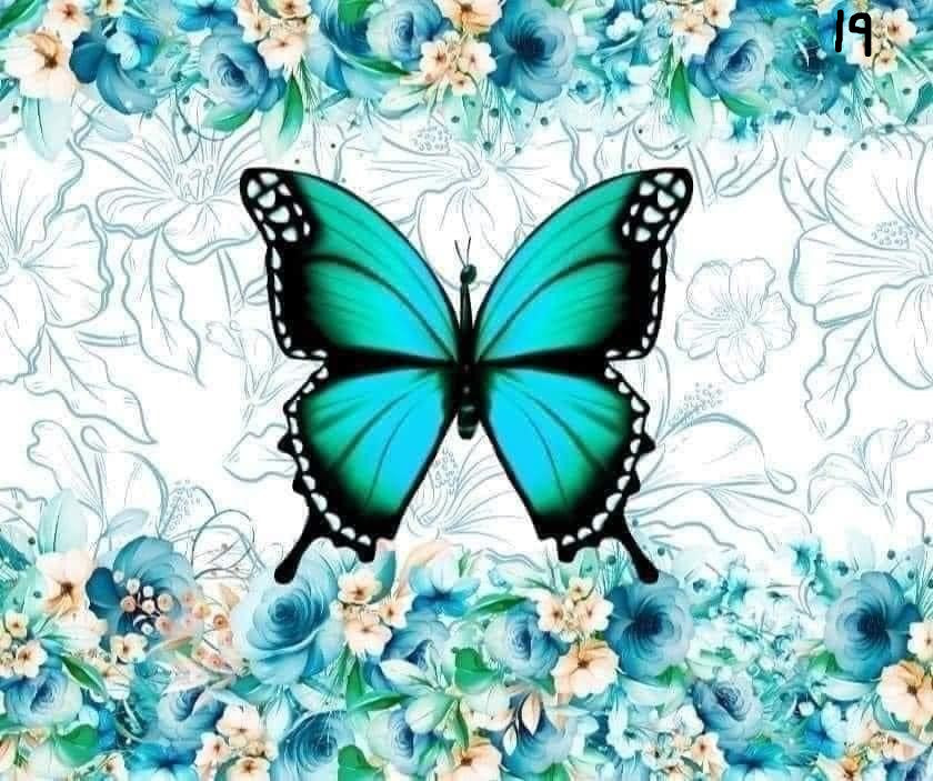 Butterfly Sublimation Decals