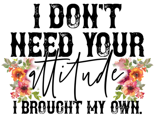 I Dont Need Your Attitude