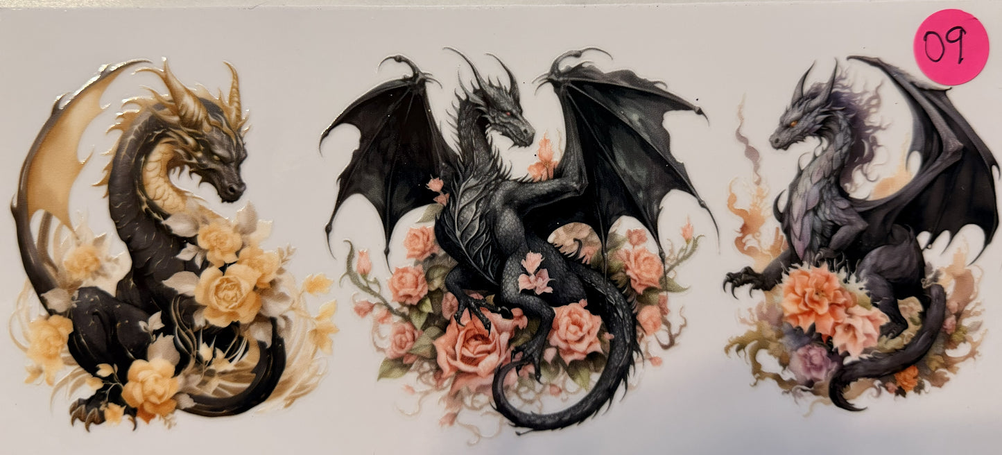 Dragons