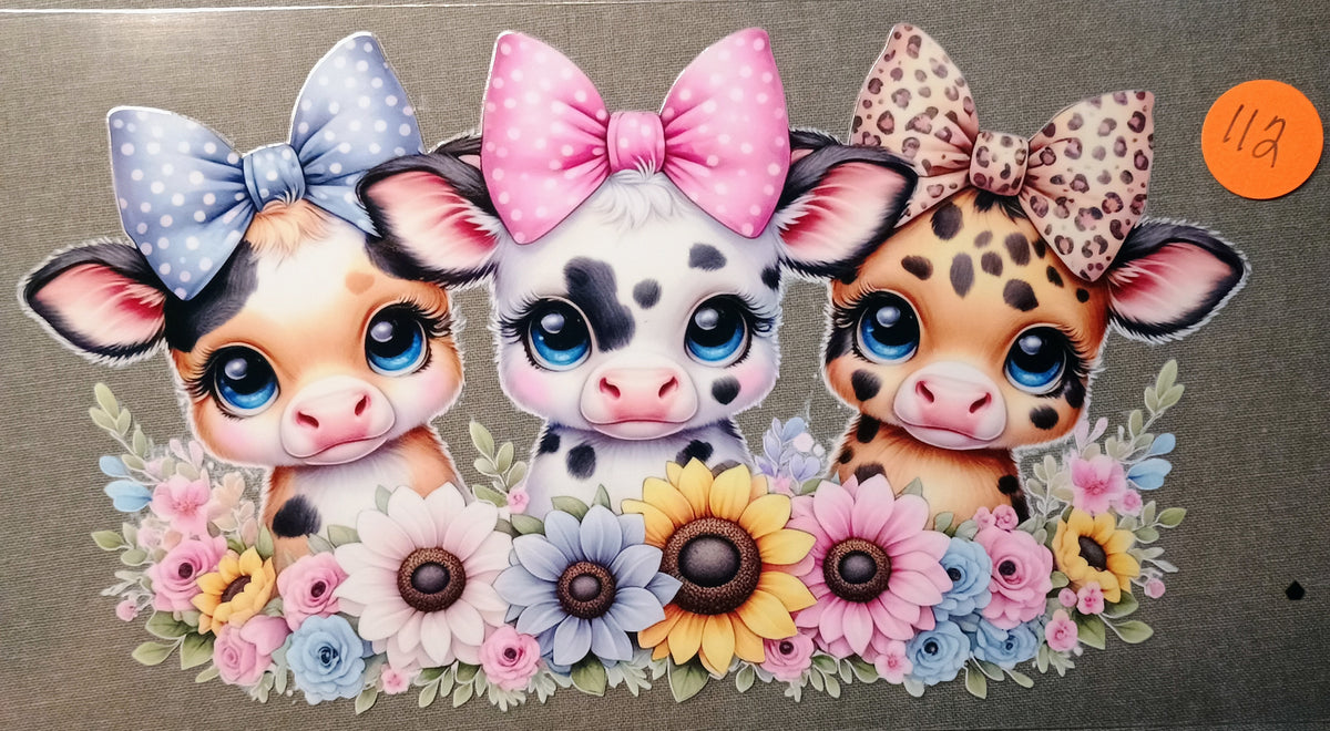 Animals