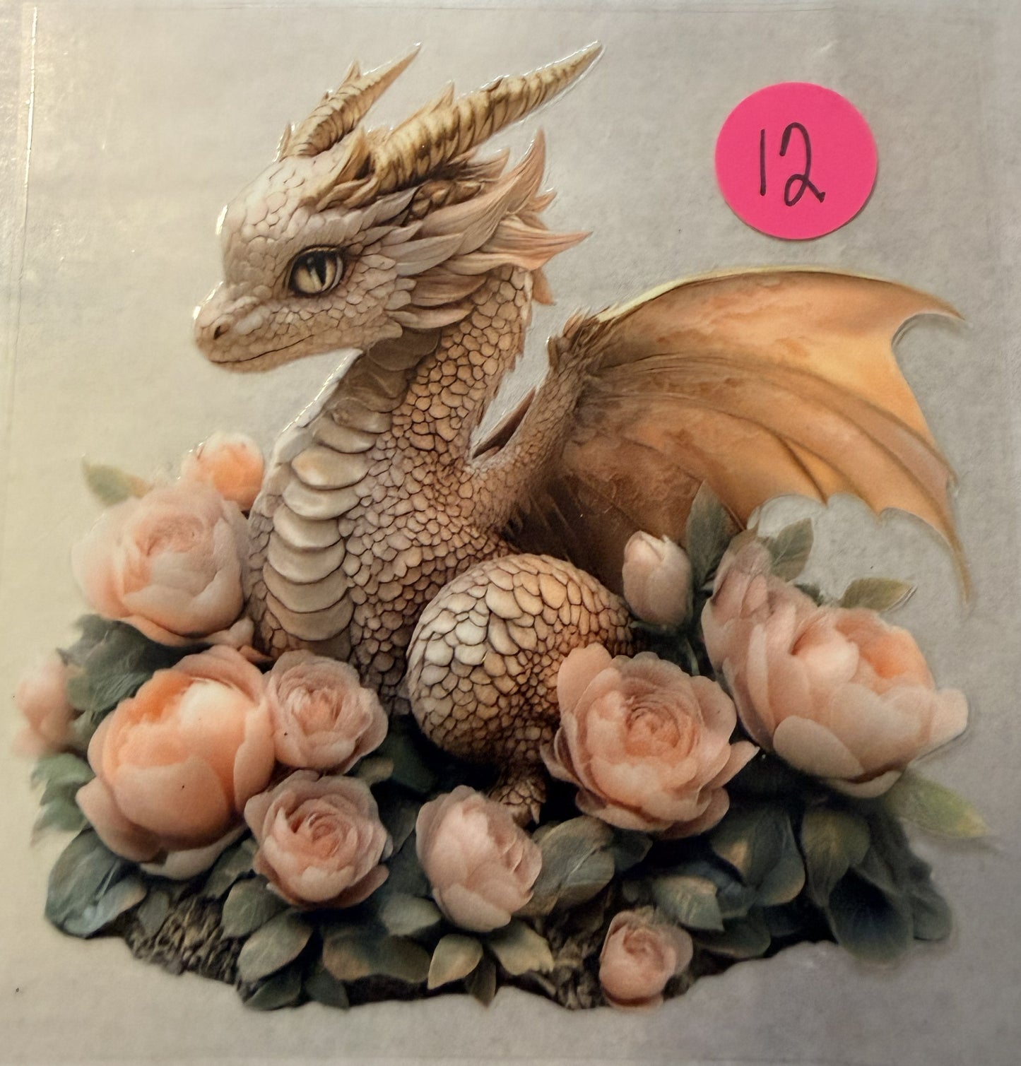 Dragons