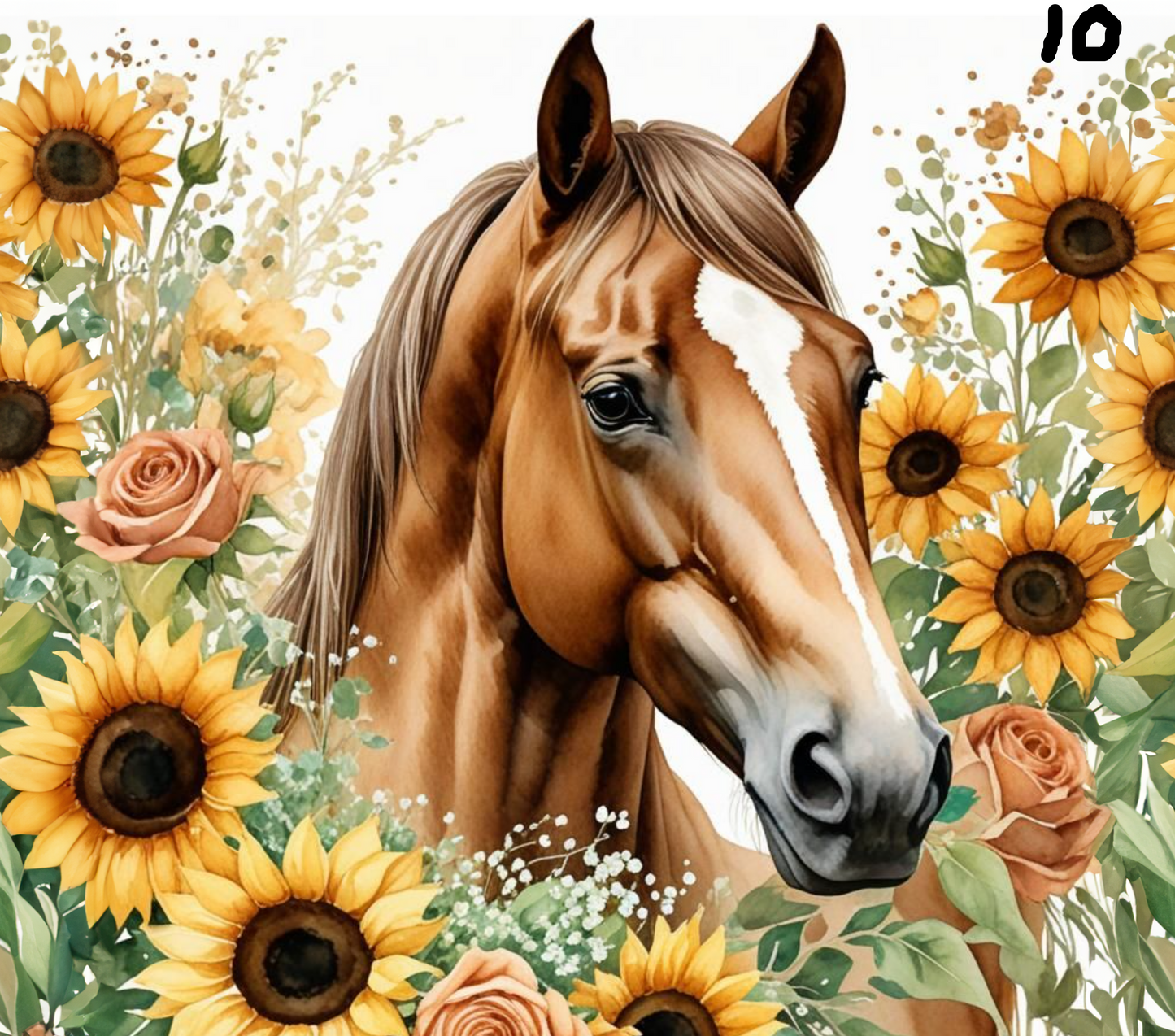 Horse Sublimation Decals