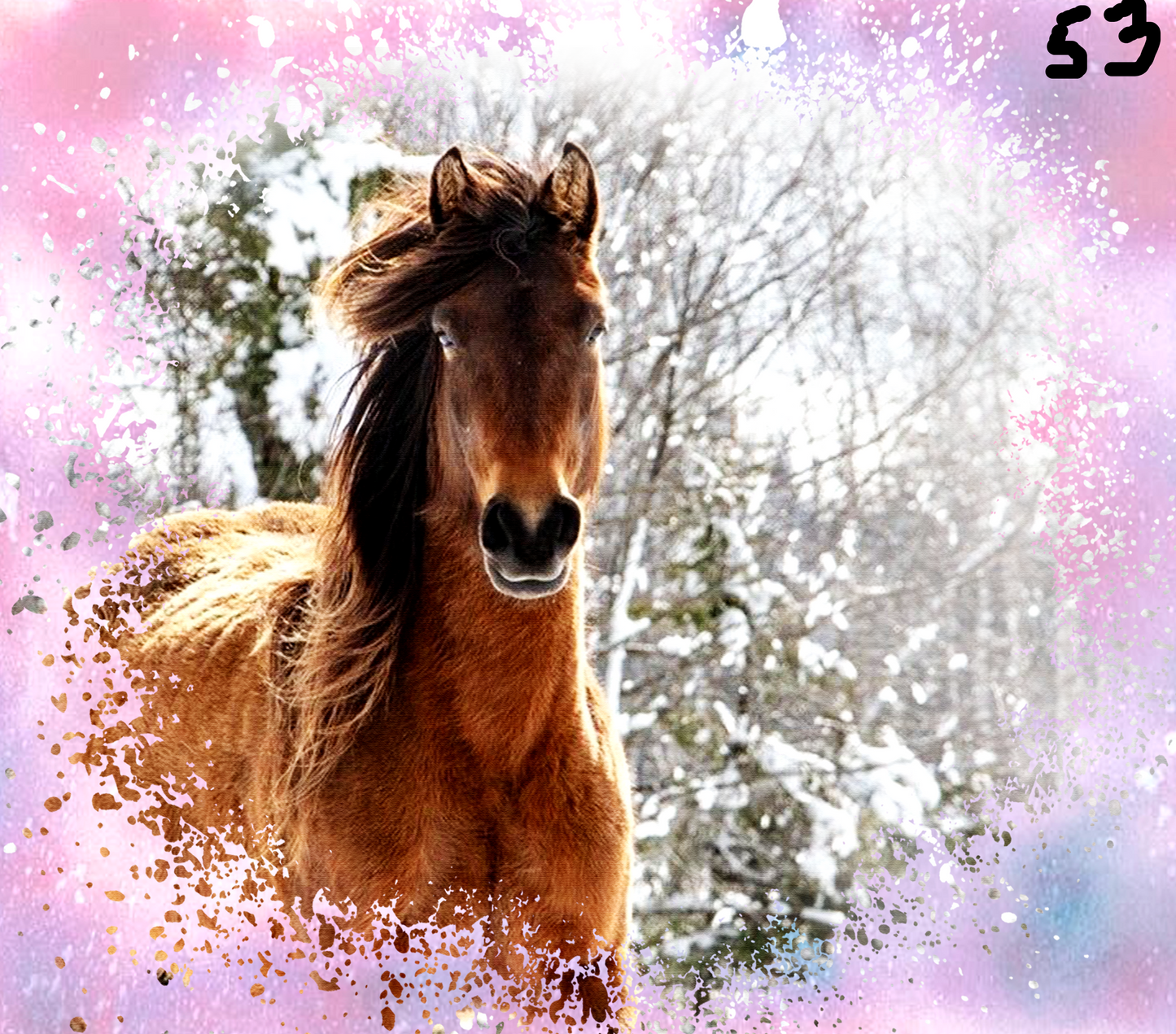 Horse Sublimation Decals