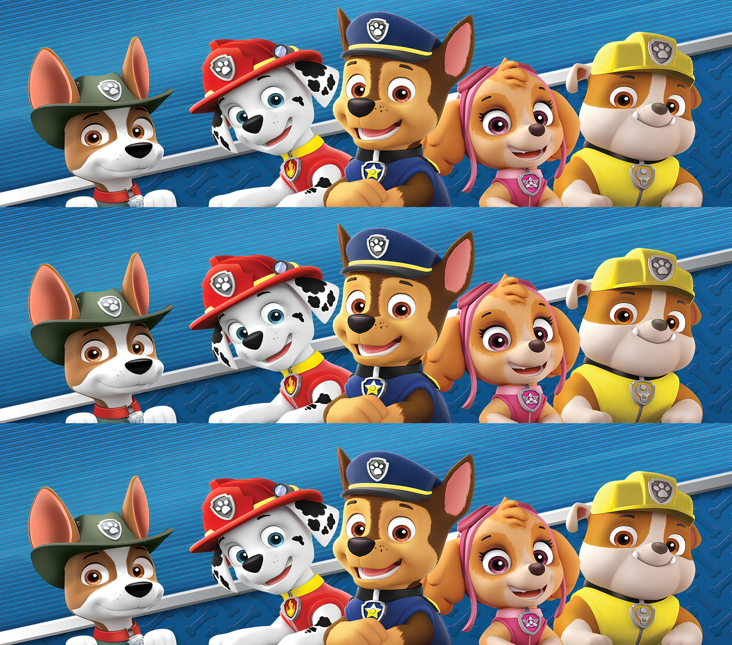 Paw Patrol Sublimation Decals